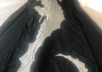 Telón del caballito de mar extendido en el suelo