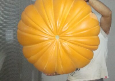 Calabaza ficticia sostenida por una persona