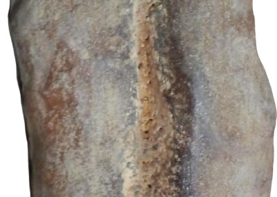 Detalle de una pieza ficticia con textura de pan