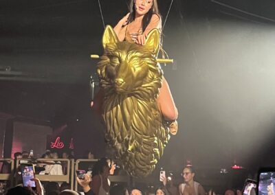 Loba dorada suspendida sobre el público durante un espectáculo