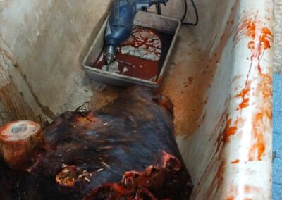 Pieza de casquería ficticia ensangrentada dentro de una bañera